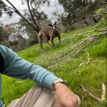 mcp-assistant-playground