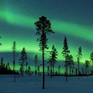 RedNote (Xiaohongshu)