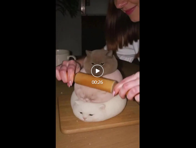 QQ20251126-114835.jpg QQ20251126-114835.jpg