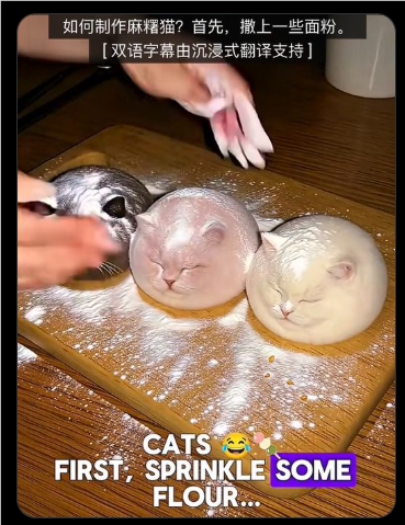 Blogger Creates 'Mashu Cat X' with AI and Goes Viral, Video Views Exceed 1 Million